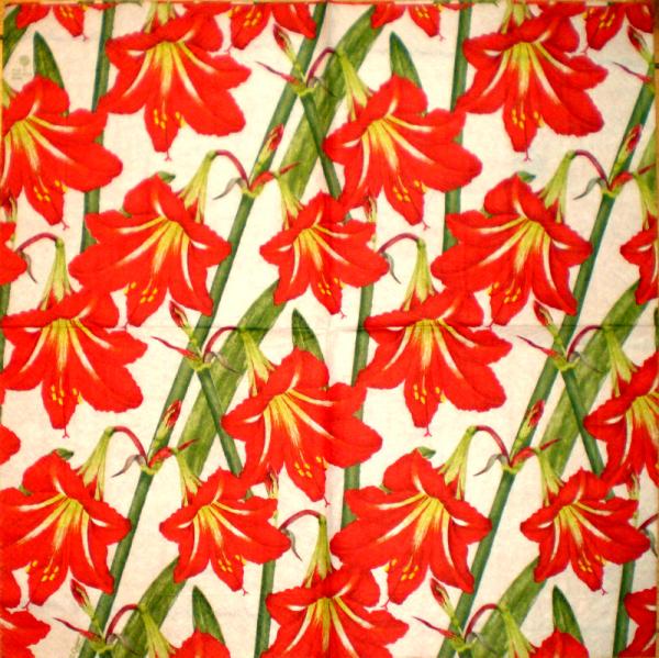 020 Lilien (weiß) - CASPARI